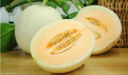 威海免费吃瓜地址,威海免费吃瓜活动地点大盘点